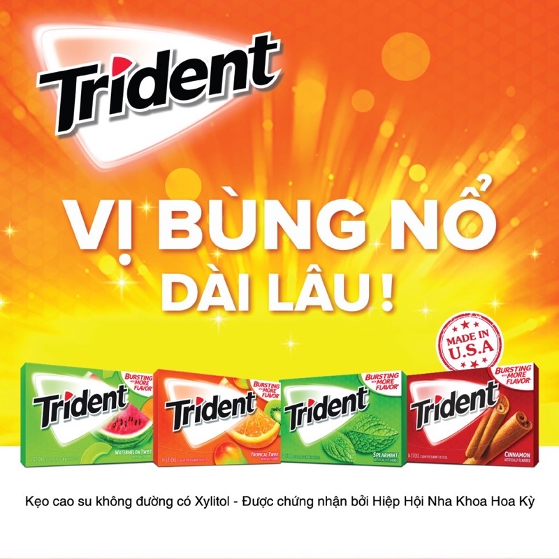 Kẹo Gum Trident không đường 1 vỉ 12 tép 4 vị