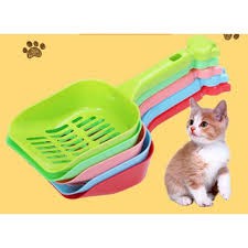 Xẻng xúc cát vệ sinh mèo - phụ kiện chó mèo