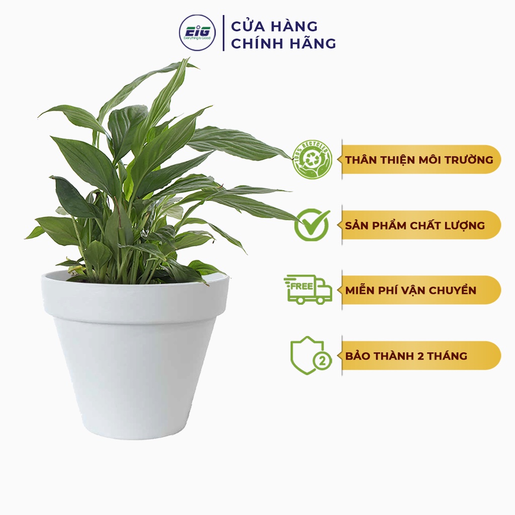 Chậu Nhựa Trồng Cây EIG Tròn Matte Họa Tiết Gốm Trơn
