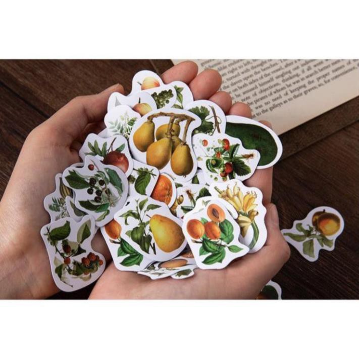 Bộ 45 Sticker Hàn Quốc hình Quả dán trang trí E20