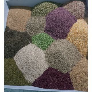 Ngũ cốc cho gà đá 12 loại hạt túi 1kg