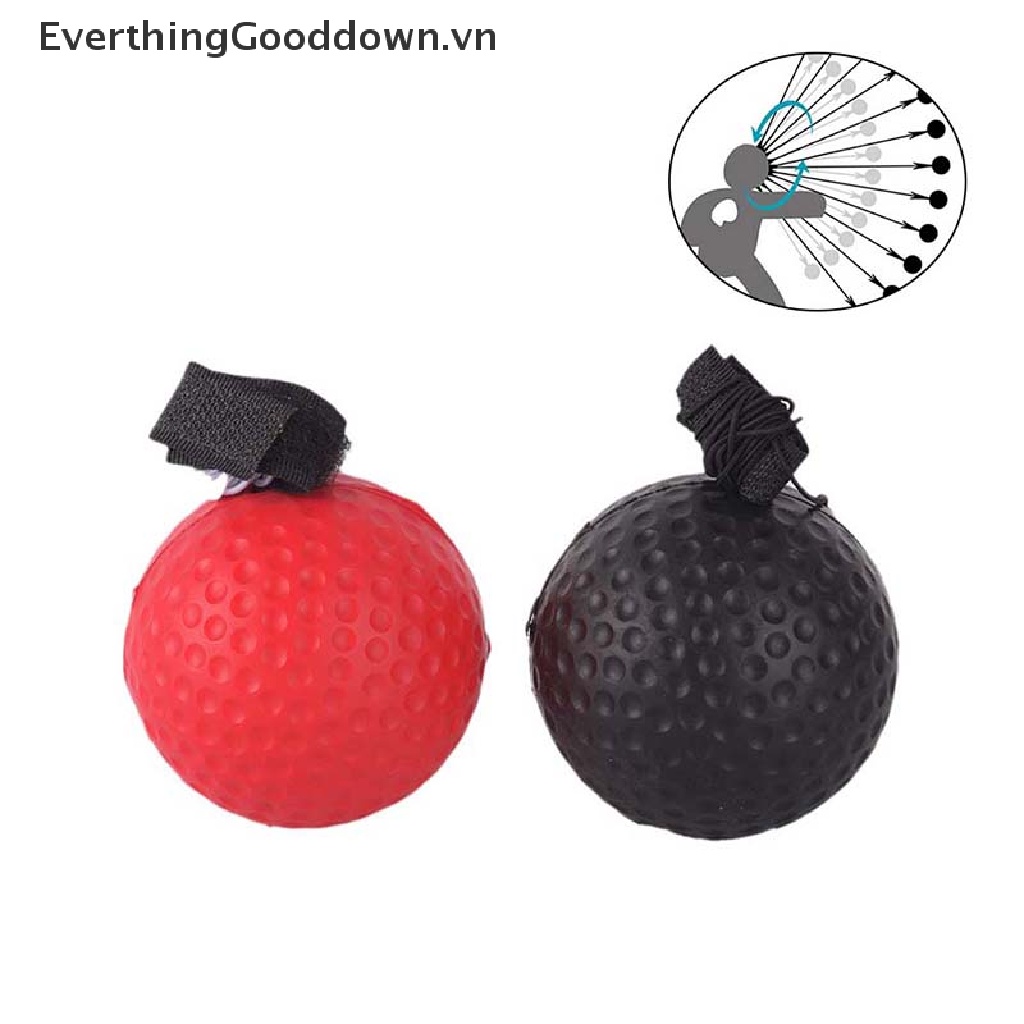 Everthinggooddown 1 Cái Bóng Phản Xạ Luyện Tập Tốc Độ Phản Xạ Boxing