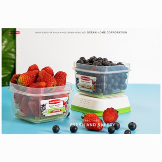 Hộp bảo quản rau củ quả RUBBERMAID có nắp màu xanh bằng nhựa nguyên sinh cao cấp loại 591ML - Chính Hãng từ Mỹ
