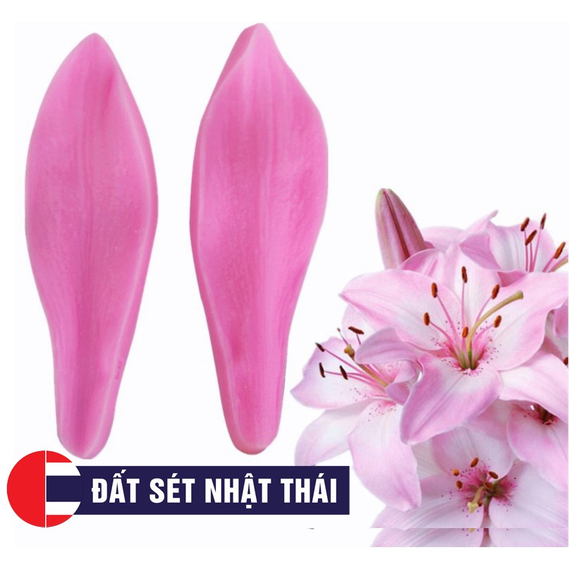 GÂN HOA LILY ĐẤT SÉT, GÂN HOA ĐƯỜNG, XÔI HOA LY ĐẬU SIICONE