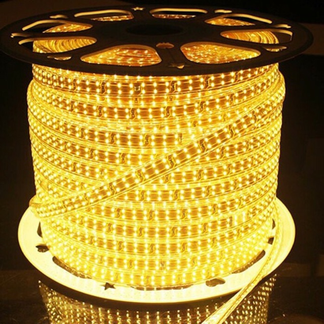 Led dây đôi 2835 siêu sáng , chống nước