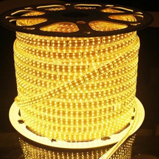 Led dây đôi 2835 siêu sáng , chống nước