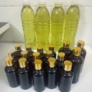 Bộ tinh dầu tràm nguyên chất (50ml) Sỉ