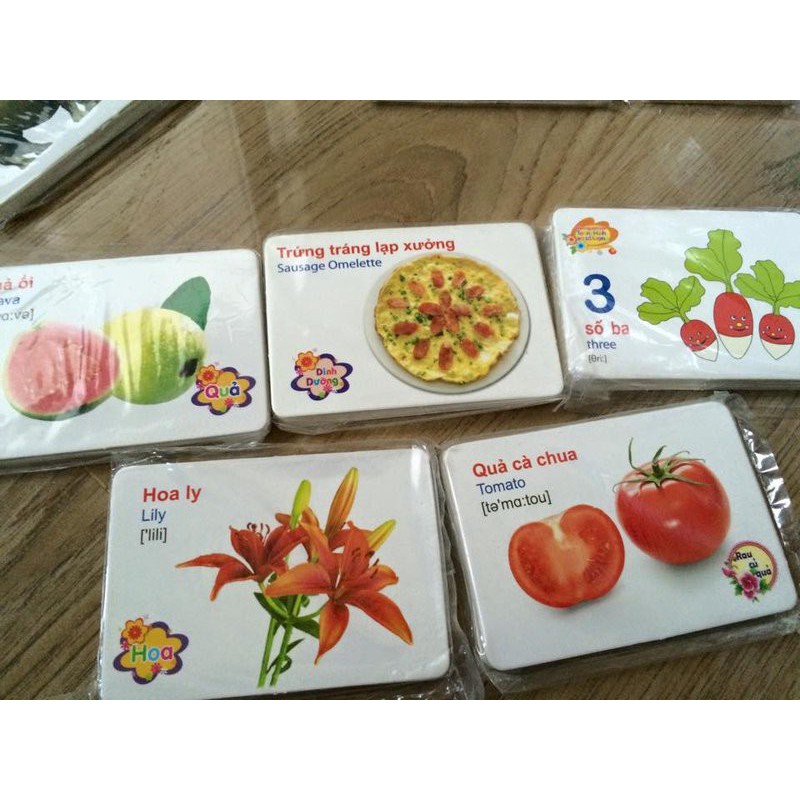 BỘ 416 THẺ HỌC TIẾNG ANH THÔNG MINH FLASHCARD CHO BÉ - 16 CHỦ ĐỀ