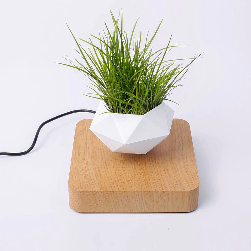 Libishop - Chậu cây bay trang trí từ tính BonSai Bay Zero W Design