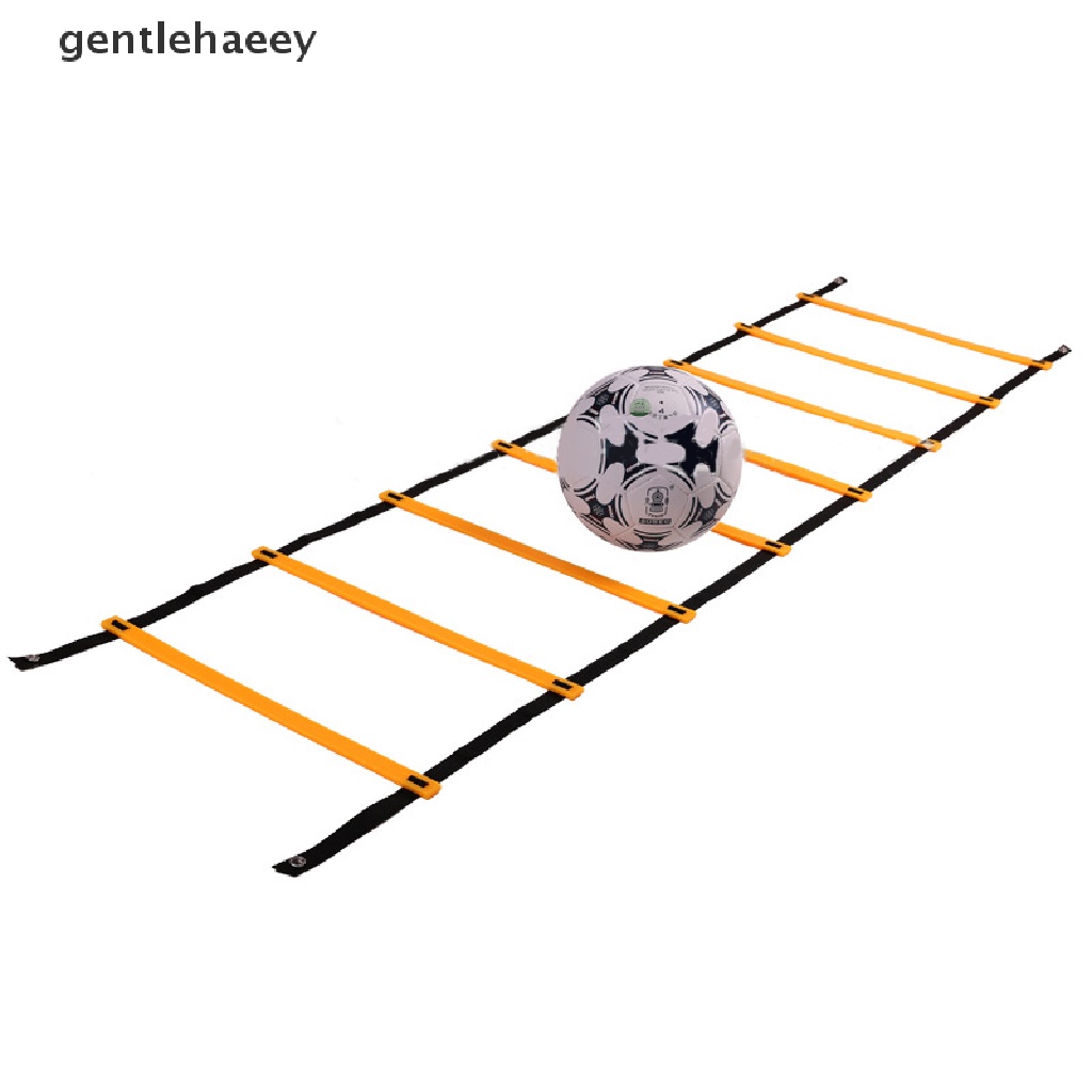 Thang Dây 12 Nấc 6M Luyện Tập Tốc Độ Đá Bóng