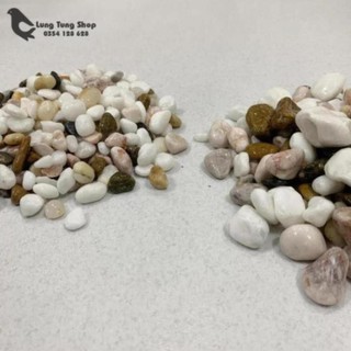 Đá sỏi hỗn hợp ( chọn size )