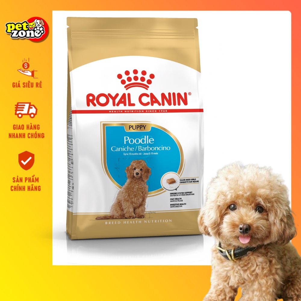 Thức ăn hạt dành cho chó Poodle từ 2 tháng đến 10 tháng tuổi Royal Canin Poodle Puppy 0.5kg - 1.5kg