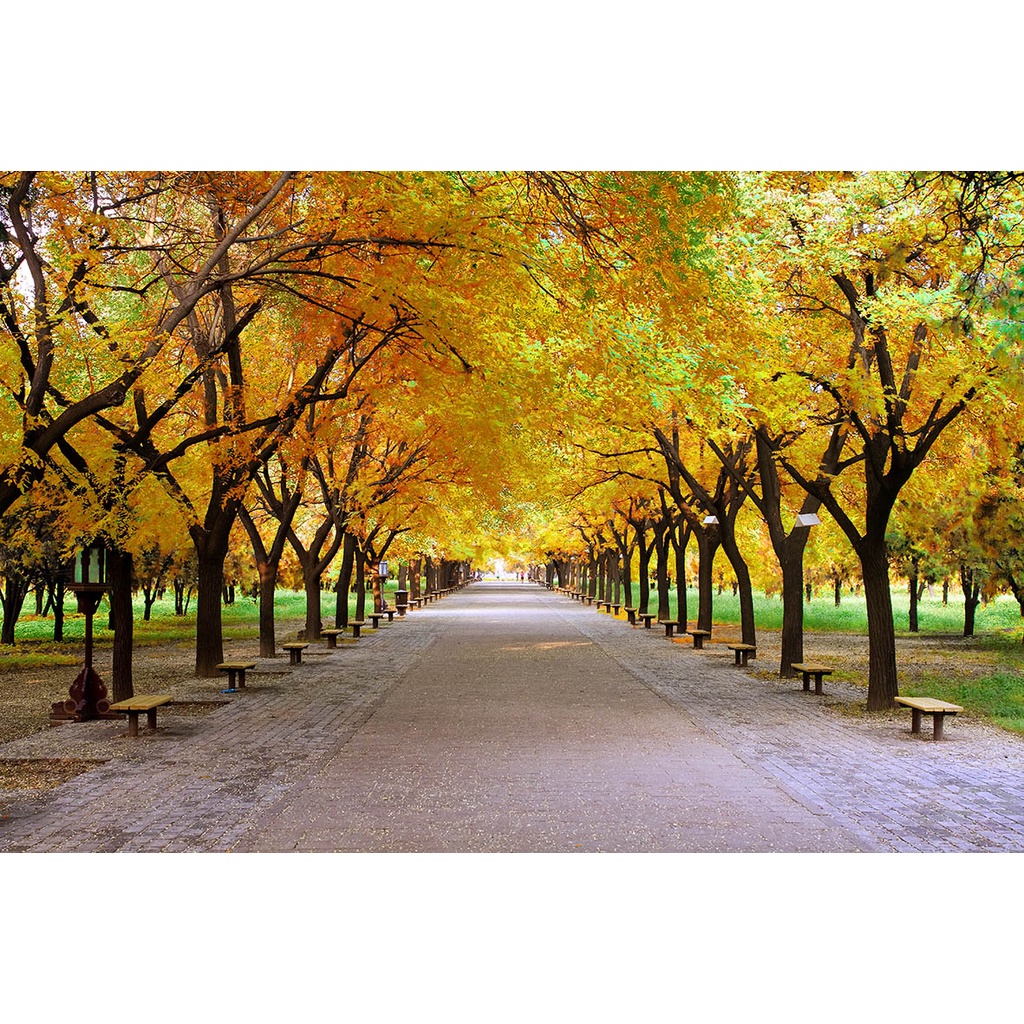 Tranh Dán Tường Khổ Lớn Hàn Quốc kích thước theo yêu cầu, không giới hạn