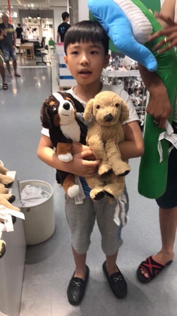 CHÓ BÔNG HOPPIG 40cm