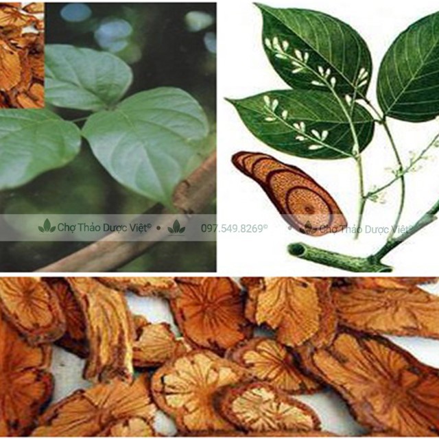 100g Kê Huyết Đằng (Khô,Đẹp)
