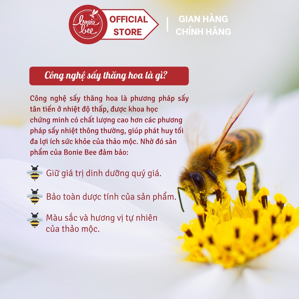 Mật Ong Cao Cấp Bonie Bee Ngâm Gừng Sấy Thăng Hoa - Mật Ong Chín Tổ