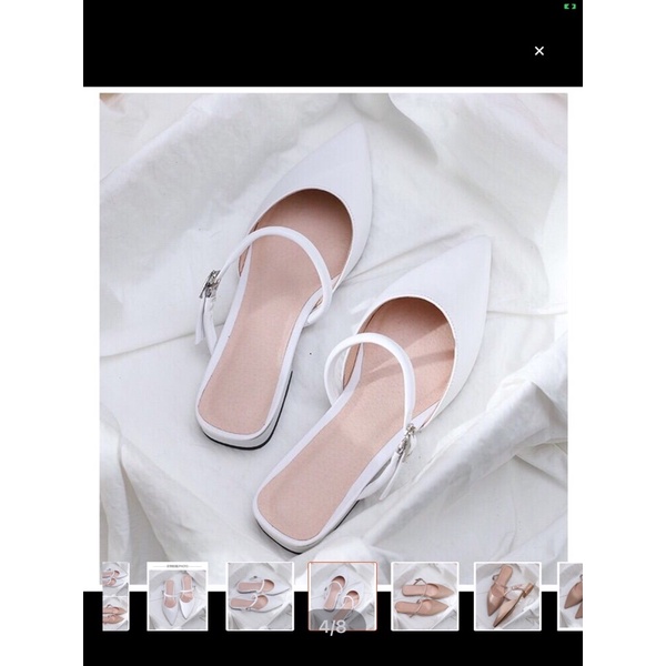 Sục nử bigsize 33-43