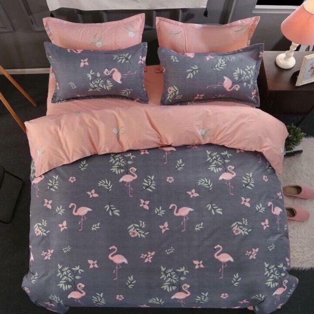Set cotton poly nhập khẩu