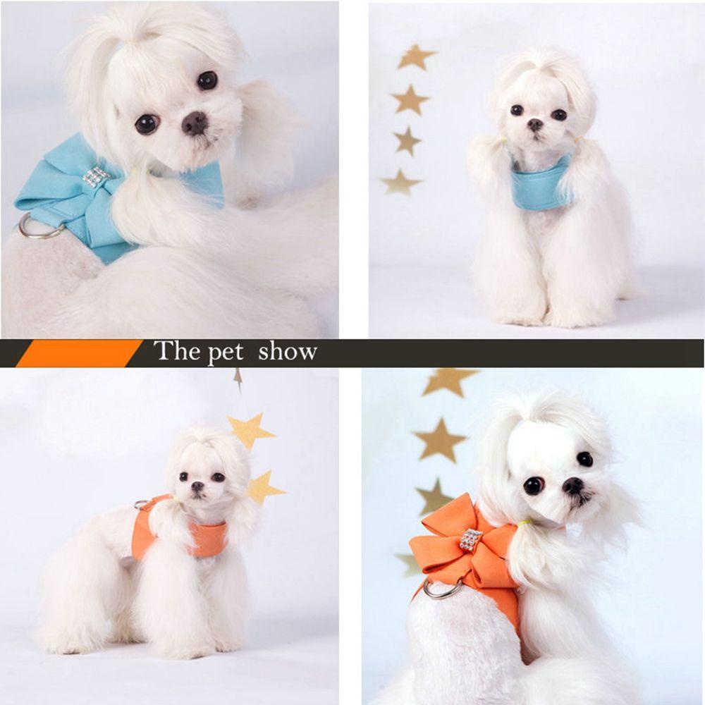 Dây Dắt Chó AUGUSTINA Lấp Lánh|Vòng Cổ MềM MạI Cho Thú Cưng Chihuahua Yorkie