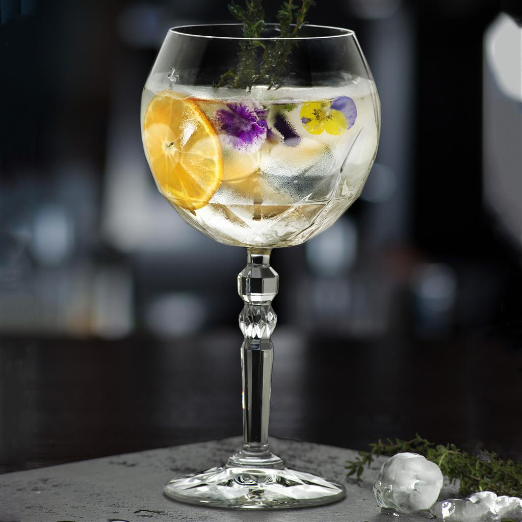 Bộ 6 Ly Rượu Vang Thuỷ Tinh Pha Lê RCR Alkemist Gin Tonic Goblet 580ml