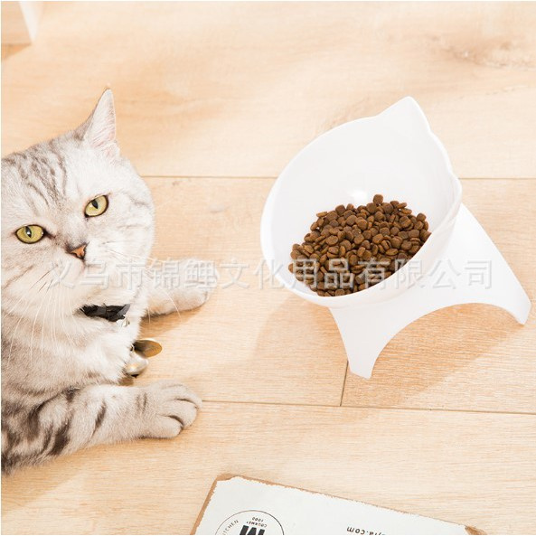 Tô đựng thức ăn cho thú cưng 15 độ chống trượt dễ thương