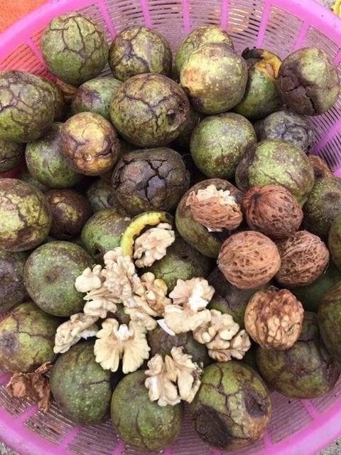 Nhân óc chó Mỹ 500gr