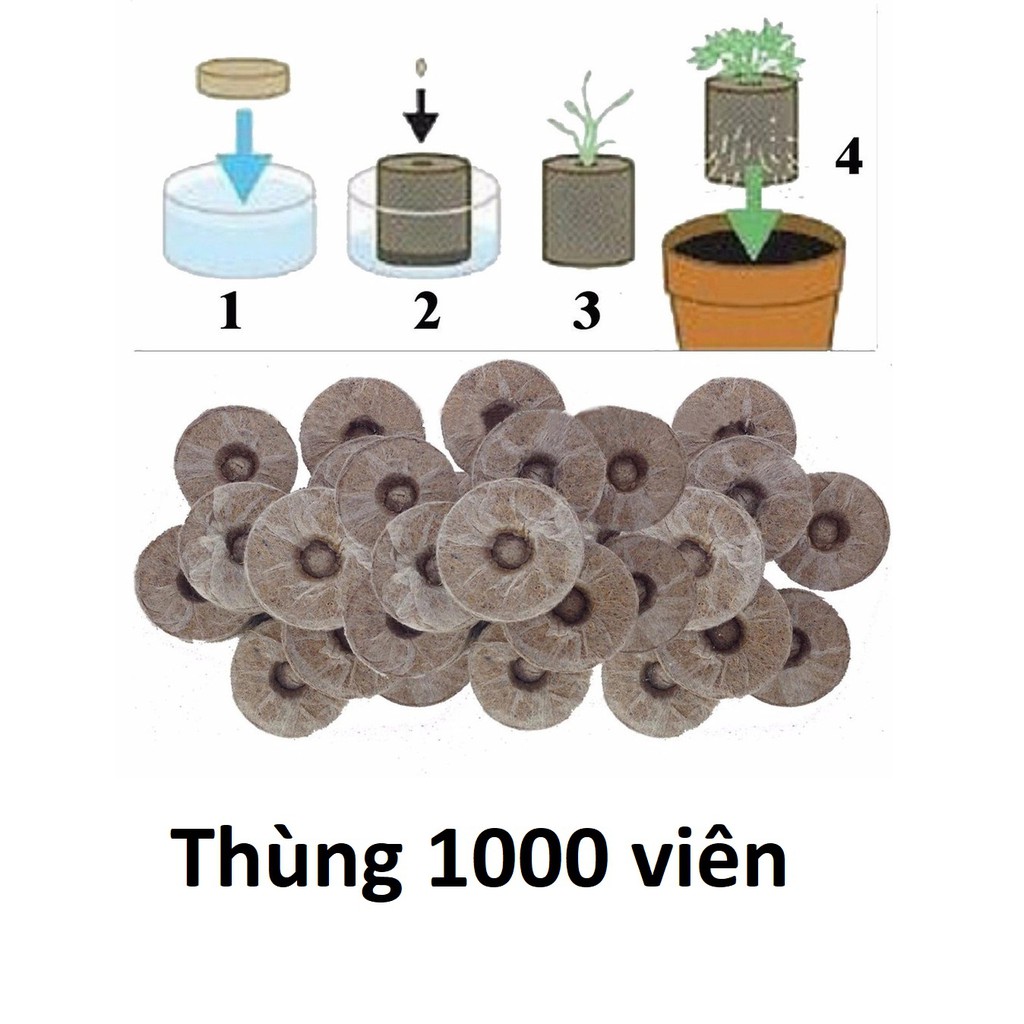 (Thùng 1000) Viên ươm hạt giống dạng viên nén xơ dừa hàng Việt Nam