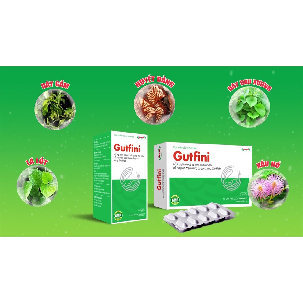 GUTFINI – Hỗ trợ giảm nguy cơ tăng acid uric máu, giảm triệu chứng do gout sưng, đau khớp (20 viên &amp;60 viên)
