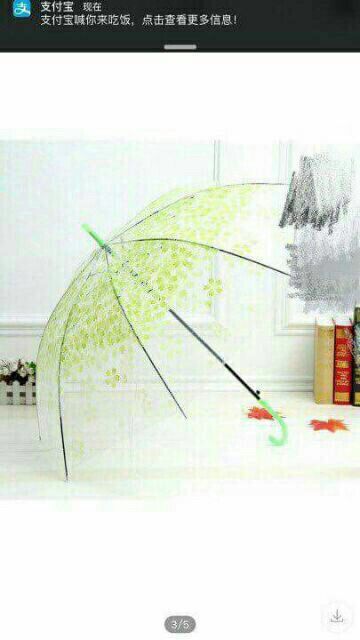 Ô dù trong suốt văn hoa 3D