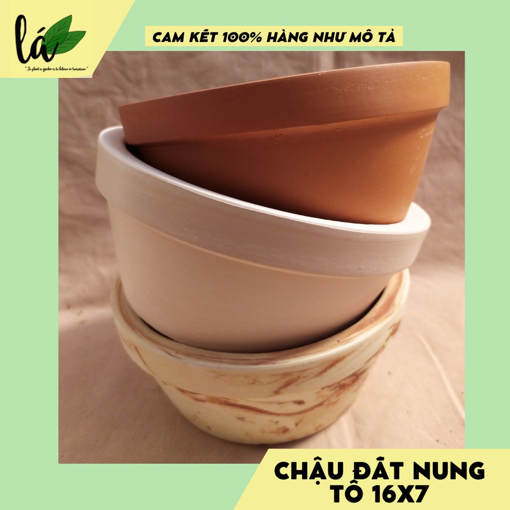 Chậu Đất Nung Trồng Cây TÔ 16x7 Chậu Cây, Chậu Trồng Cây, Cây Cảnh, Sen Đá, Hoa Hồng (Ảnh Thật)