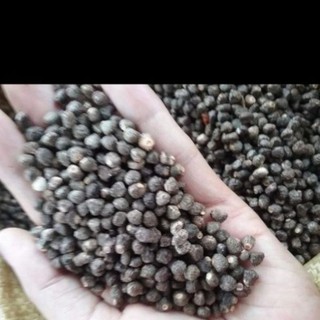 Hạt chuối hột rừng 500g -1kg