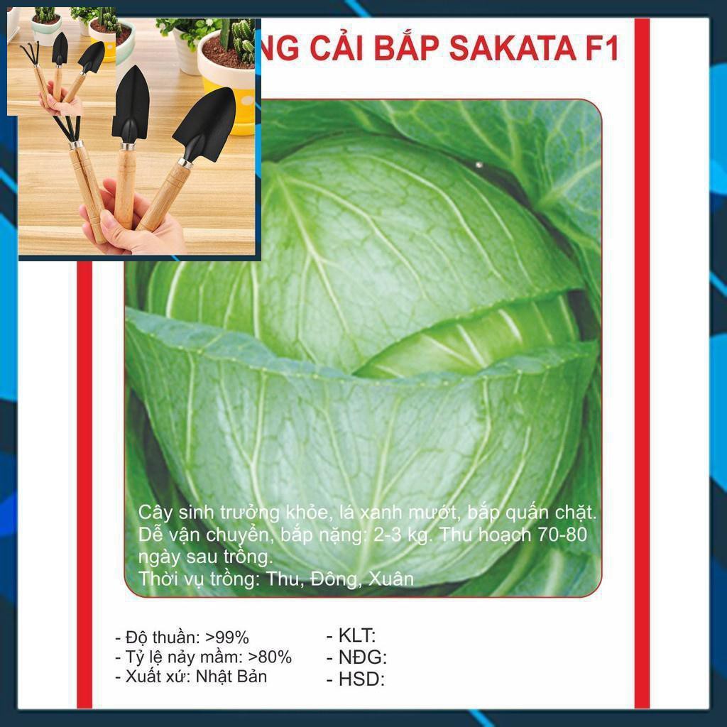 Hạt giống BẮP CẢI NHẬT - 0,2gram TẶNG BỘ LÀM VƯƠN MINI