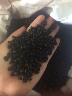 [FREESHIP 99K TOÀN QUỐC]Đậu đen xanh lòng ( 1kg)