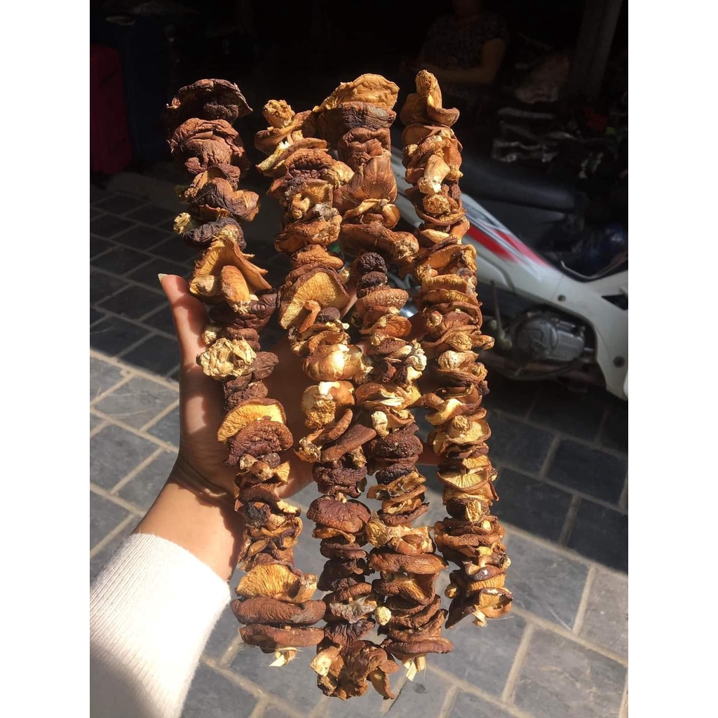 500g NẤM HƯƠNG RỪNG (NẤM XIÊN) loại 1 tự nhiên phơi thủ công thơm ngon an toàn/ Đặc sản Tây Bắc