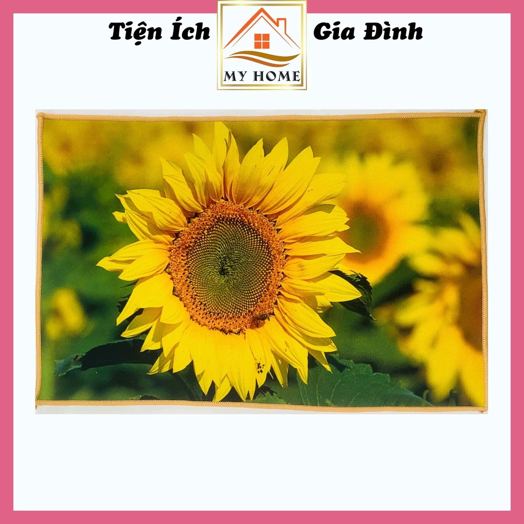 Thảm lau chân 3D, thảm chùi chân phòng khách họa tiết cực đẹp, kích thước 40x60cm