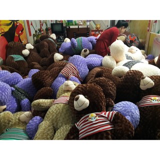 Gấu bông Teddy 1M2