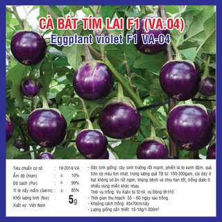 Hạt giống Cà bát tím lai - cà tím lai dễ trồng F1 gói 1g