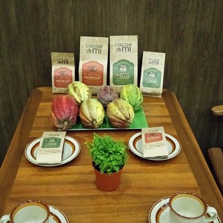 Bột CaCao CacaoMi Premium 250G