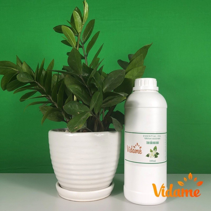 CHUYÊN SỈ + LẺ - 1 Lit Tinh dầu nguyên chất nhập khẩu các loại- Sả , Quế, Bạc Hà,.. có chứng nhận Chất Lượng
