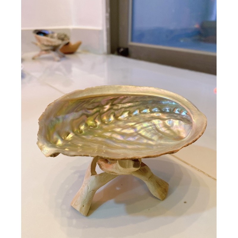 Đĩa Ốc Xà Cừ Hồng Nhật Bản - Vỏ sò đốt xô thơm (Natural Abalone Shell) - Thảo Mộc Xông Nha | BigBuy360 - bigbuy360.vn