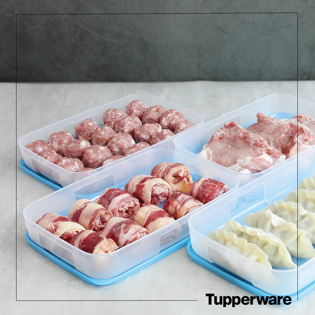 Hộp trữ đông dẹt, dẹp, thấp Freezermate Low bảo quản thực phẩm 650ml, 1.5L, 3.1L, 1.2L  Tupperware chính hãng, CAMIHOME