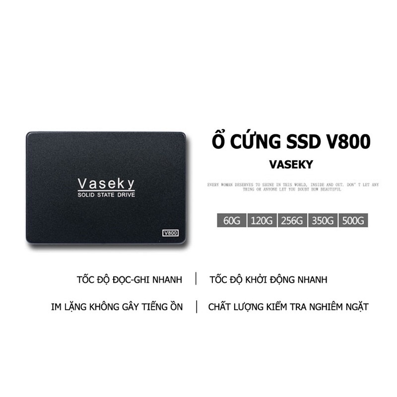 SSD VASEKY New có sẵn win 10 | BigBuy360 - bigbuy360.vn