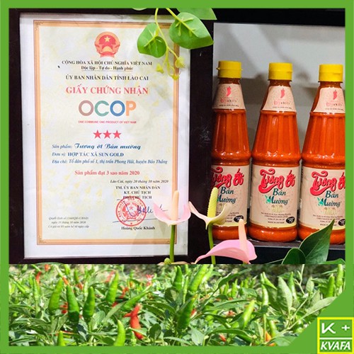 Tương Ơt Cay Lào Cai: Sản Phẩm An Toàn Không Chất Bảo Quản, Giúp Mọi Món Ăn Ngon Hơn Thơm Hơn Hấp Dẫn Hơn | BigBuy360 - bigbuy360.vn