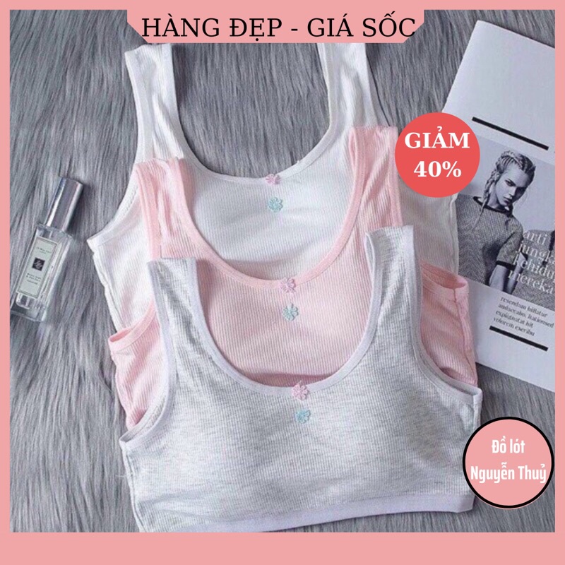 Áo Bra Hoc Sinh Cài Sau cho các bạn từ lớp 9
