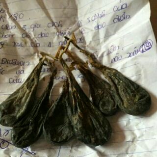 Sỉ giá gốc mật kỳ đà