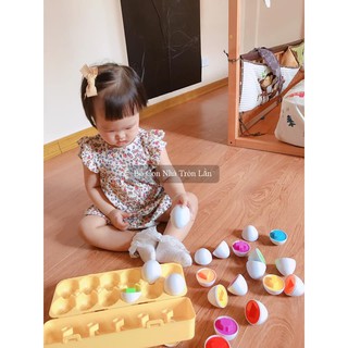 Khay trứng thông minh sáng tạo - quả trứng màu sắc hình khối - Đồ Chơi Giáo Dục Montessori cho bé (Quà tặng Sinh Nhật)