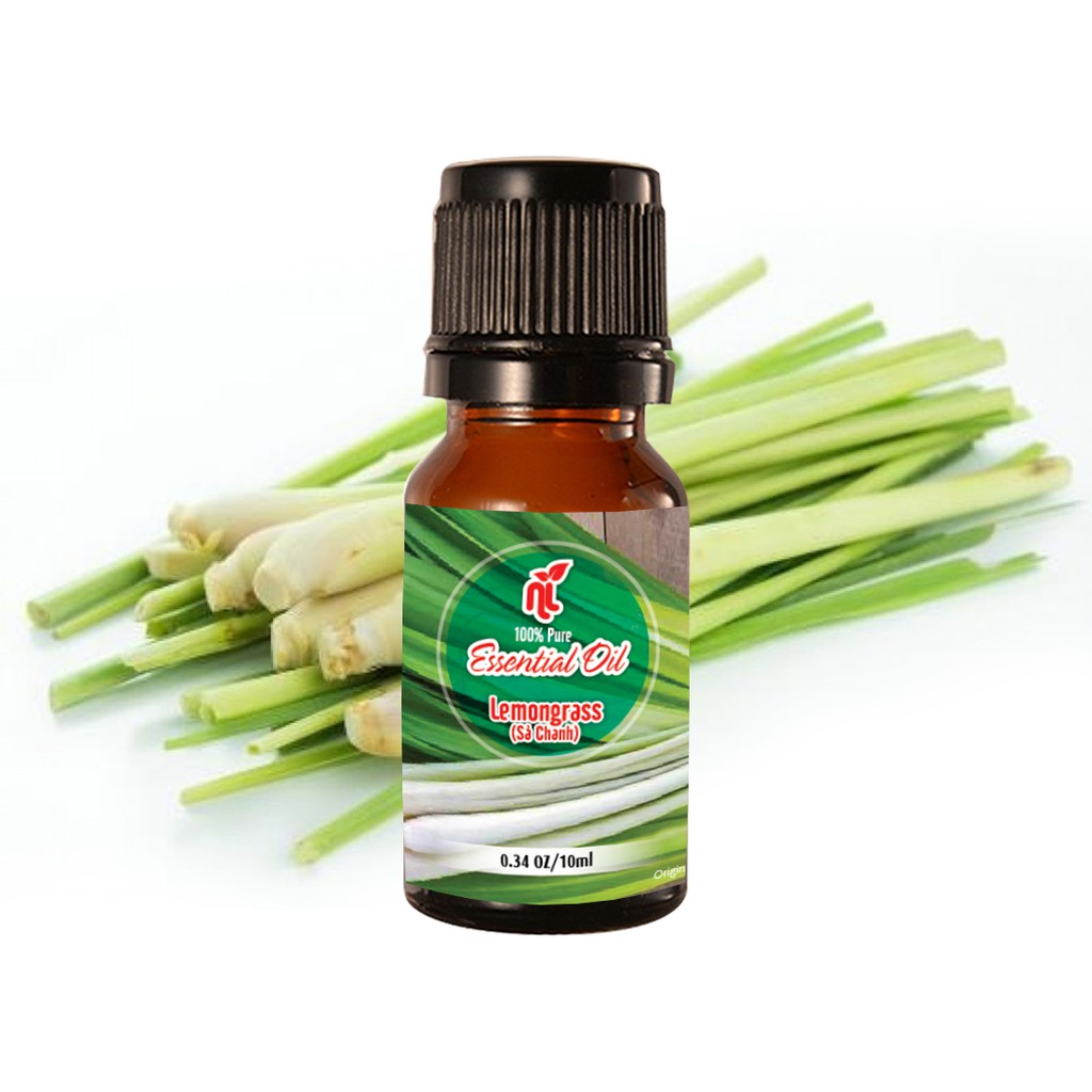 [COMBO 2 chai] Tinh dầu Oải Hương 10ml + Tinh dầu Sả Chanh 10ml thiên nhiên nguyên chất 100%, nhập khẩu Ấn Độ