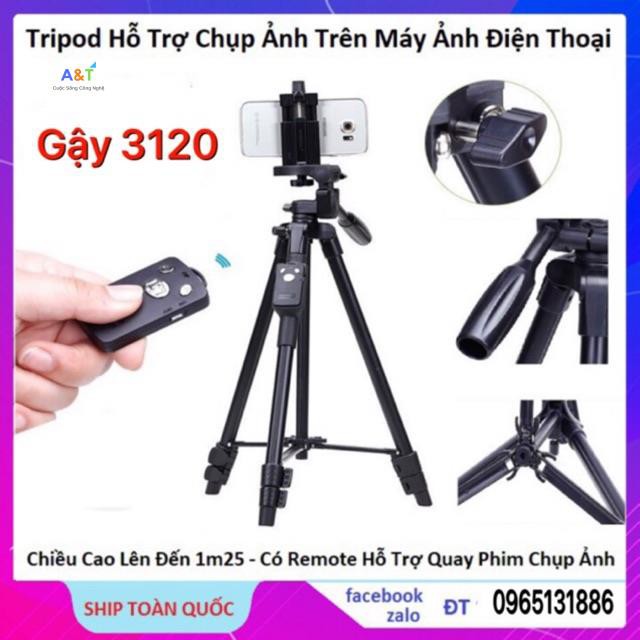 GẬY TRIPOD 3120 LOẠI XỊN HÀNG- CHÍNH HÃNG-FREESHIP