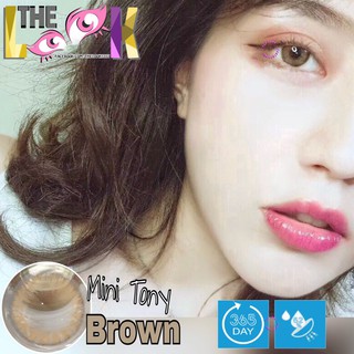 CONTACT LENS MÀU BROWN - NÂU TÂY - ÁP TRÒNG - CÓ ĐỘ