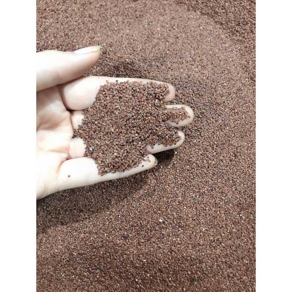 NGŨ HOA HẠT mặt nạ ngũ hoa hạt nguyên chất( loại bỏ mụn- cấp ẩm -kiềm dầu) mặt nạ ngũ hoa , mẫu mới nhập | Thế Giới Skin Care